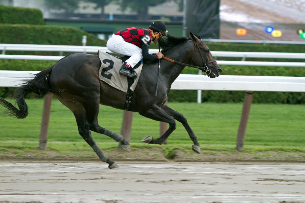 Saratoga Racetrack