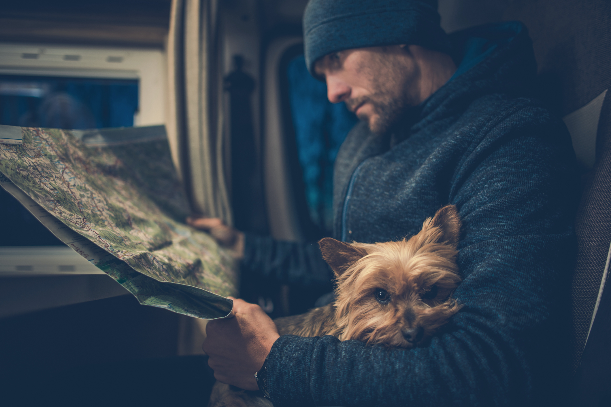 Friday Tips: Pets on the Road