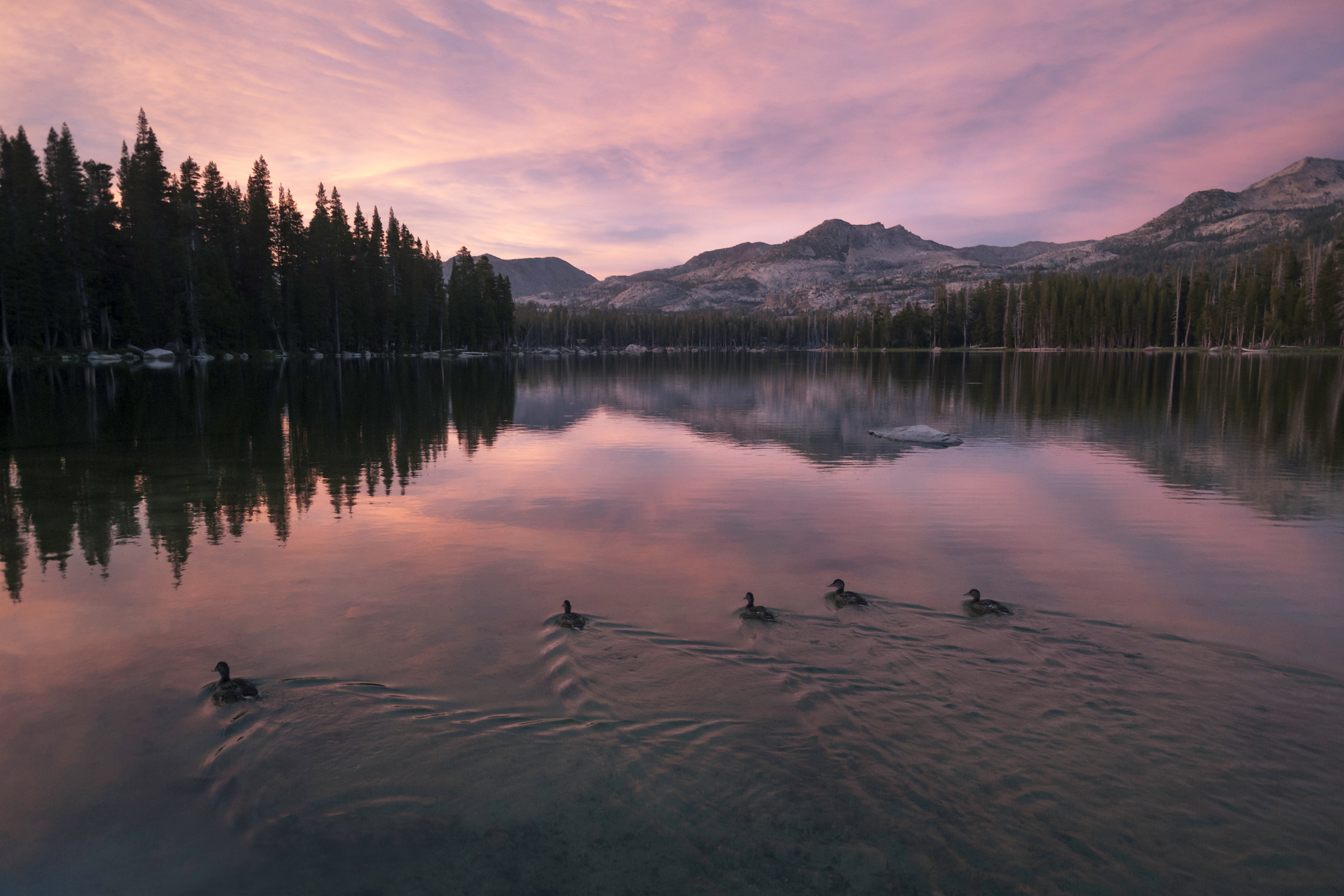 8 Best National Forests for Summer RV Travel