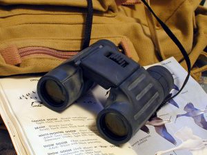 Travel Tuesday: Best Birding Spots In The U.S.