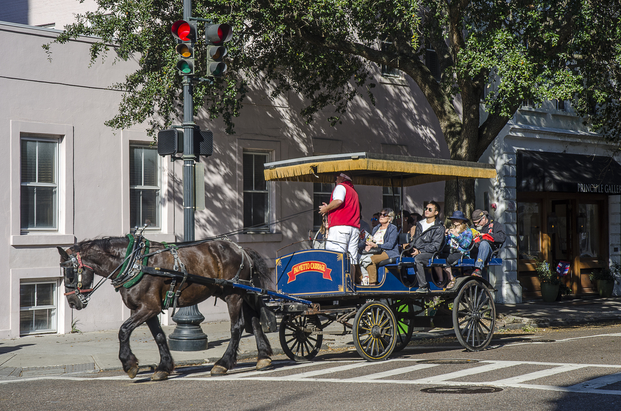 HorseDrawn Carriage in Historic Charleston, South Carolina RV