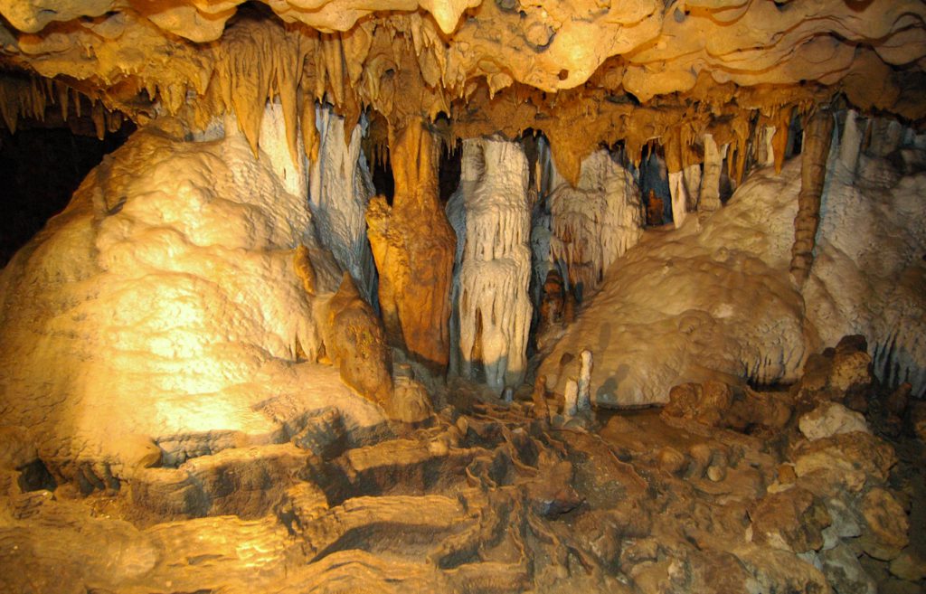 Cave in Florida Caverns State Park
