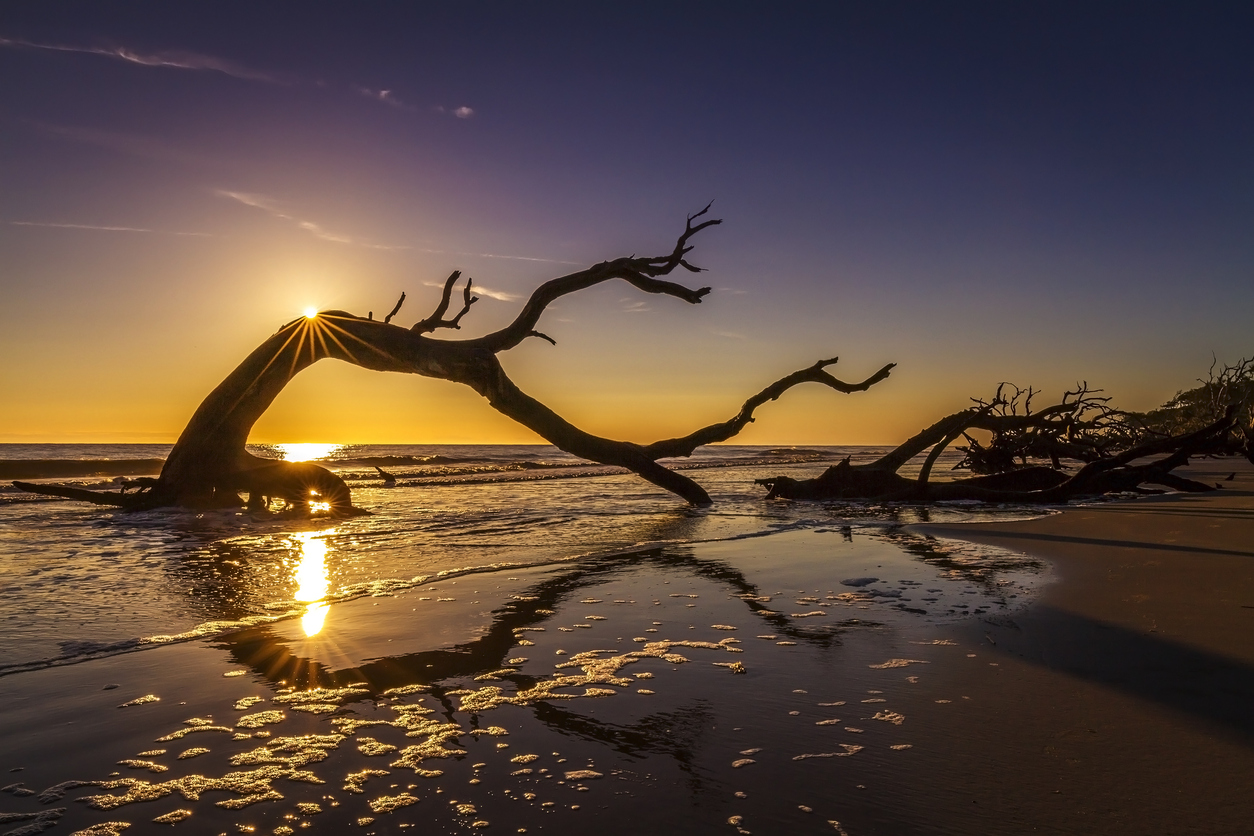 Featured Campground – Jekyll Island, Georgia