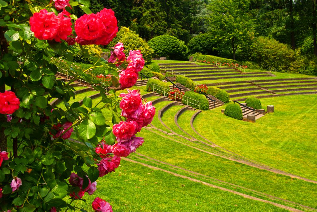 International Rose Test Garden in Portland