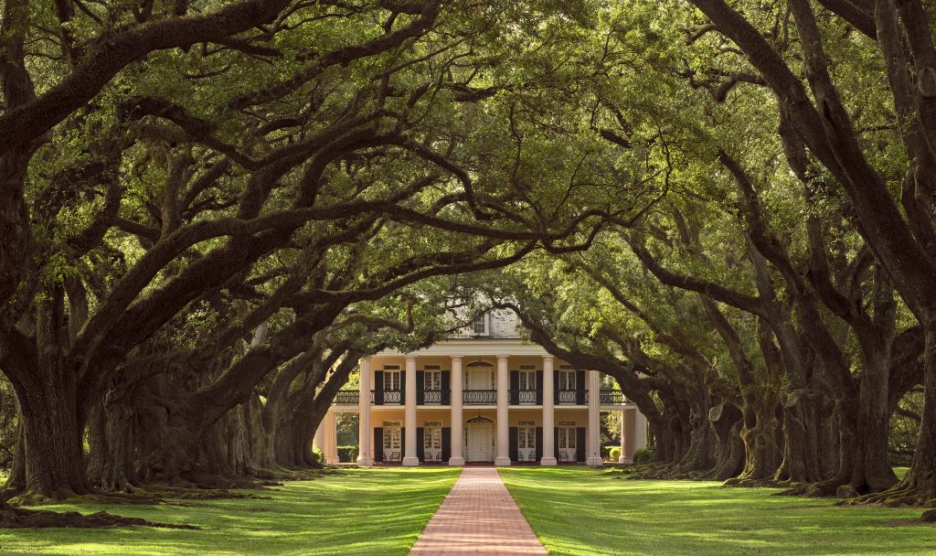 Oak Valley Plantation