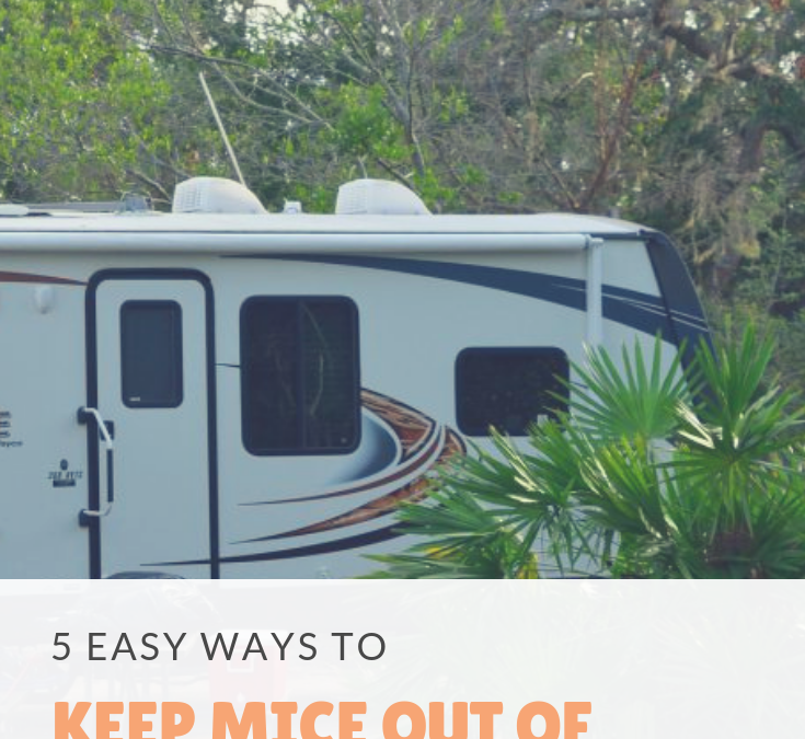 5 Ways To Keep Mice Out Of Your RV - RV Lifestyle News, Tips, Tricks