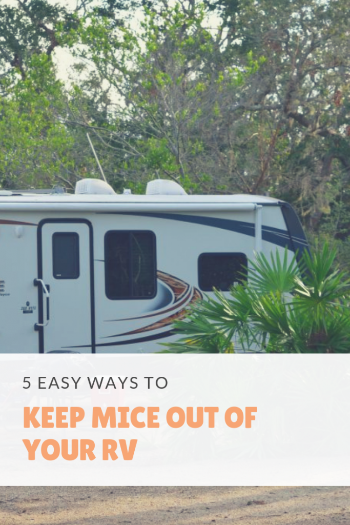 5 Ways To Keep Mice Out Of Your RV