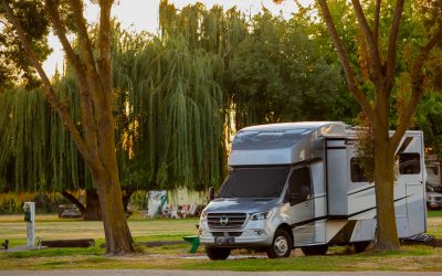 What You Need to Know Before Buying a Class B Motorhome
