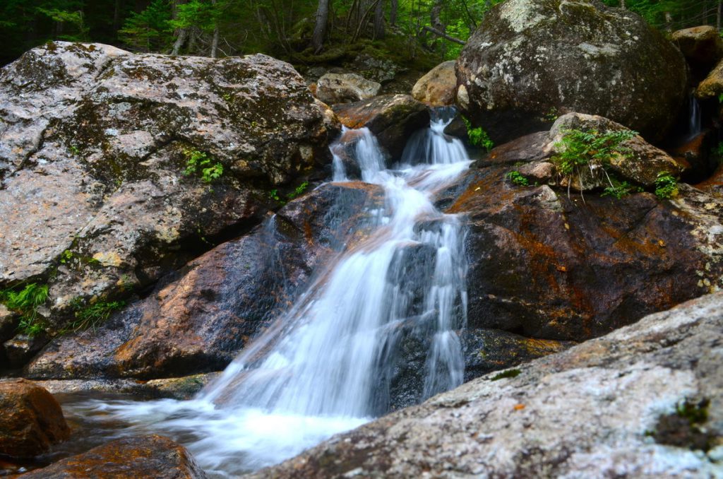 Thompson Falls- Jackson