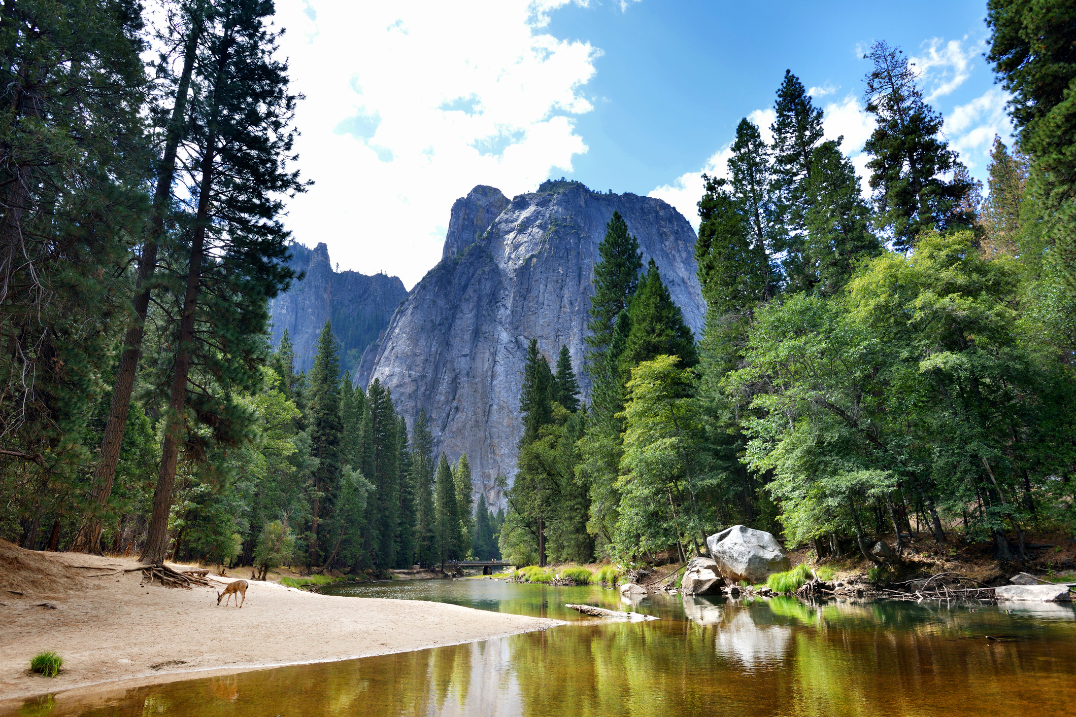 Известные парки сша. Национальный парк Йосемити, США. Национальный парк в Калифорнии Йосемити. Парк Йосемити (штат Калифорния). Йосемитский национальный парк фото.