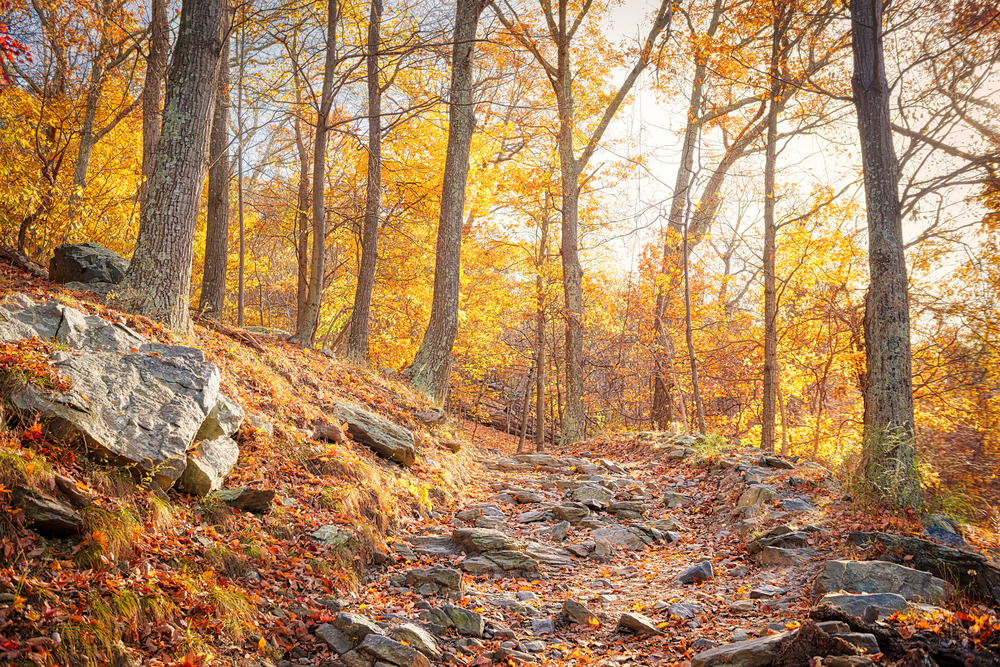 rocky trail in Rhode Island park during fall