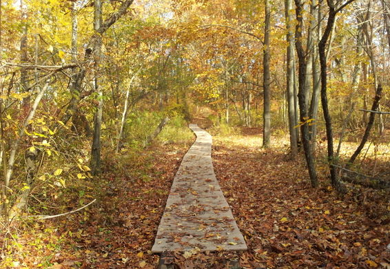 Neutaconkanut Hill Park- Providence, Rhode Island