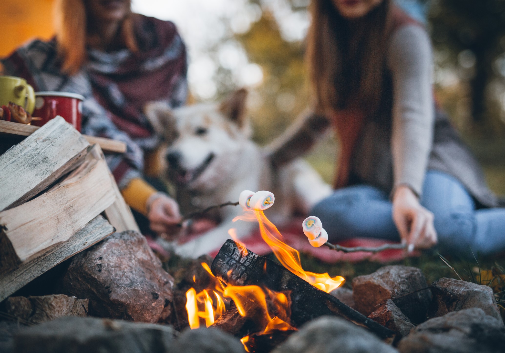 Thanksgiving Campfire Recipes