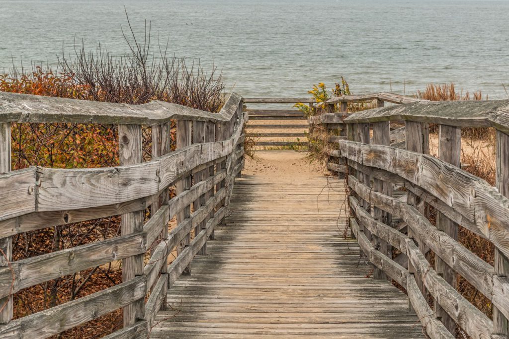First Landing State Park, Virginia