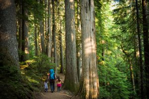 Popular Campgrounds to Enjoy Easter Weekend