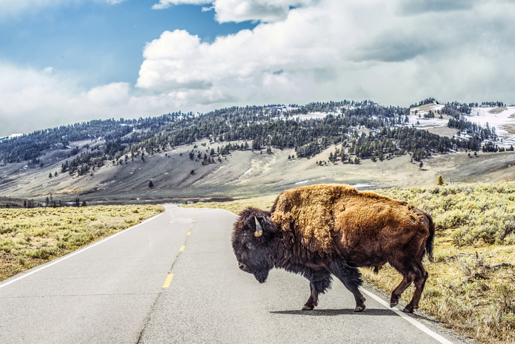 Beautiful Landmarks in Montana