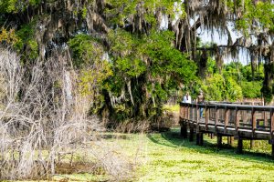 Best Hiking Trails in Florida