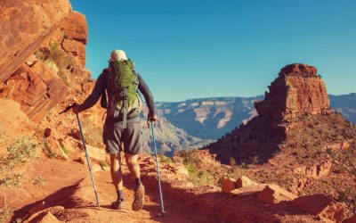 Best Hiking Trails in Arizona
