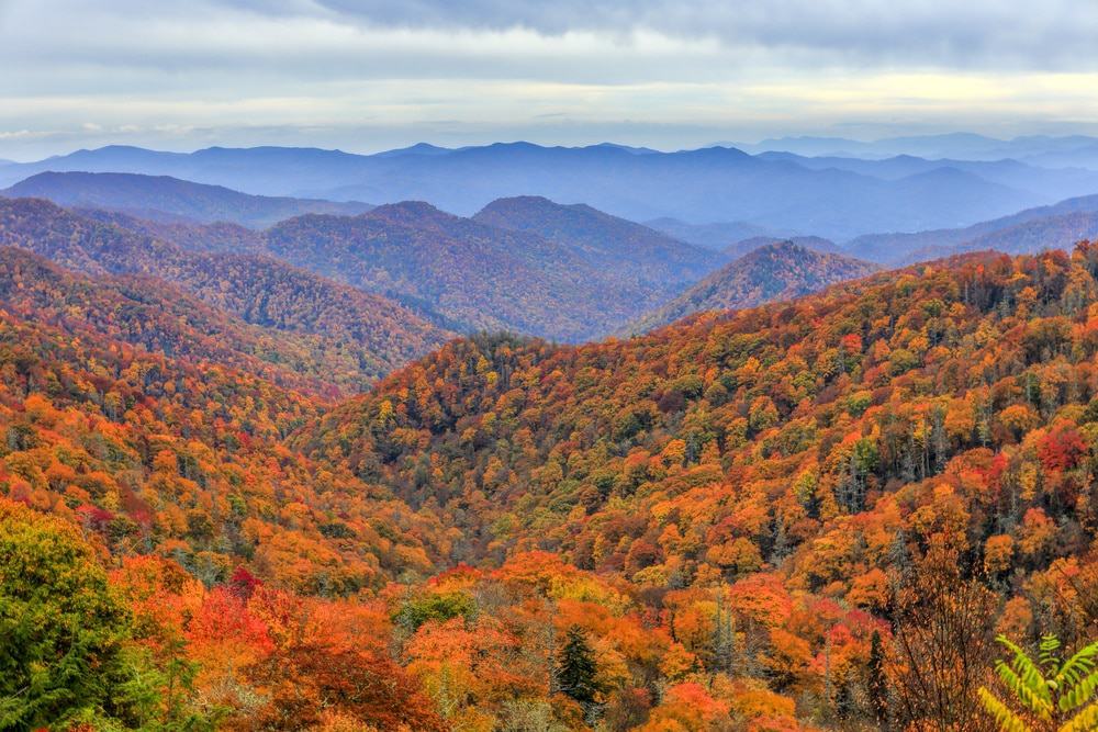 BreathtakingfallfoliagenearGatlinburg RV Lifestyle News, Tips
