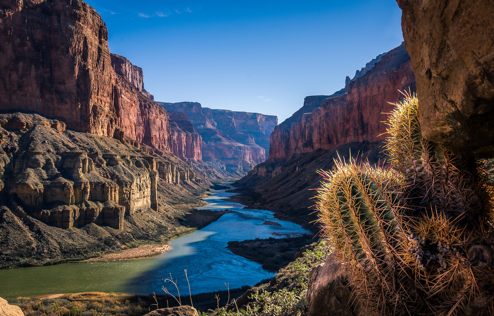 FILE #: 176920940 Preview Crop Find Similar Expand Image DIMENSIONS 4928 x 3154px FILE TYPE JPEG CATEGORY Landscapes LICENSE TYPE Standard or Extended cactus overlooking the grand canyon