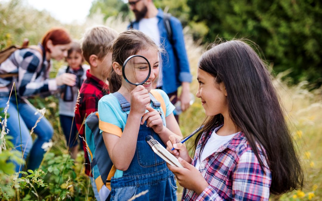 Campgrounds With the Best Amenities for Families