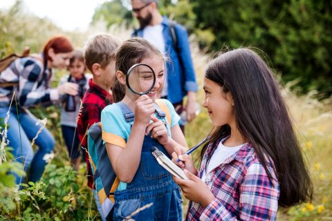 Campgrounds With the Best Amenities for Families