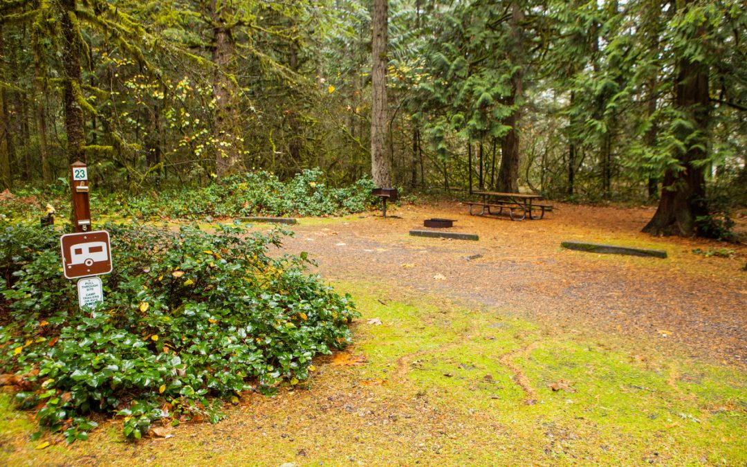 What is the Largest RV Allowed in a State Park?