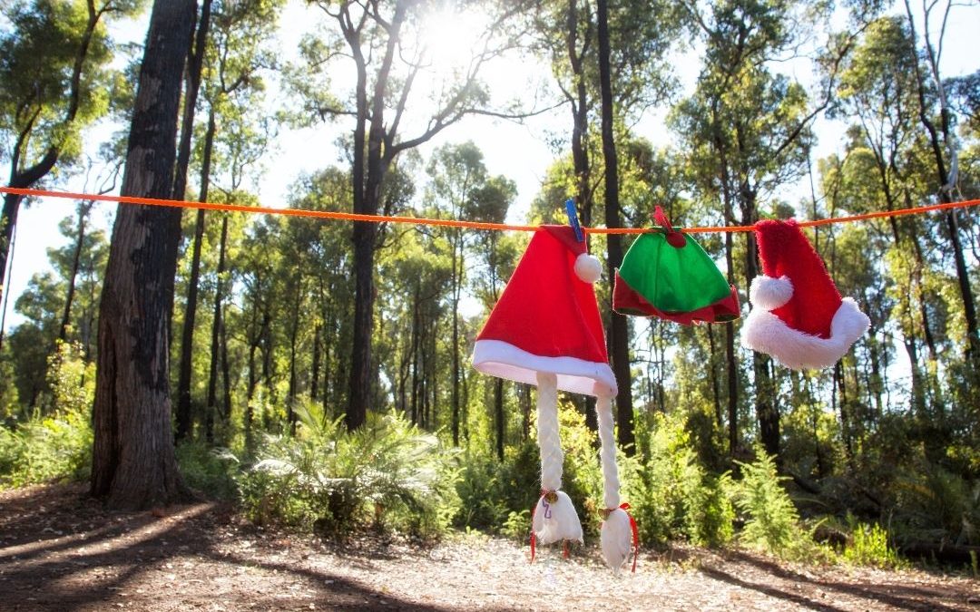 Best RV Parks for Christmas
