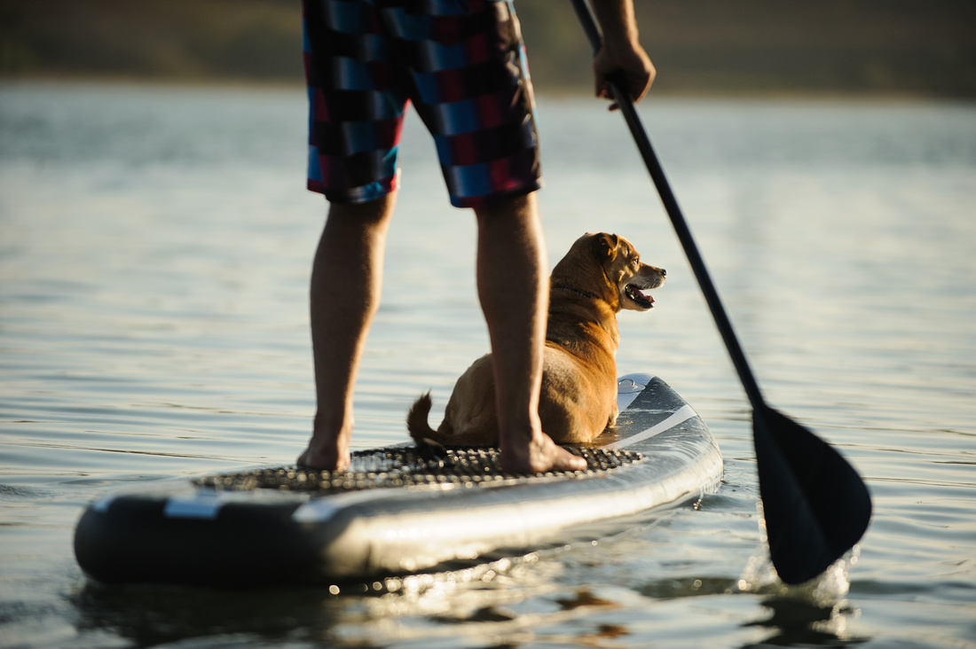 Man and dog on a paddle board, part of our RV packing list. 