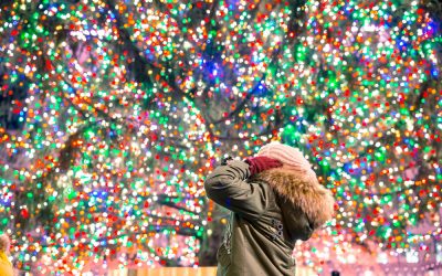 Top 4 Trips for the Best Christmas Lights in the US