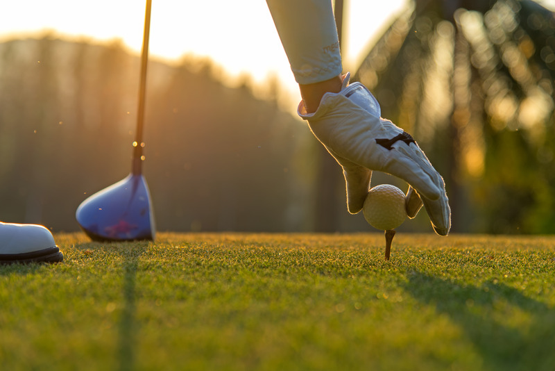 The gloved hand of a golfer at a golf course. 