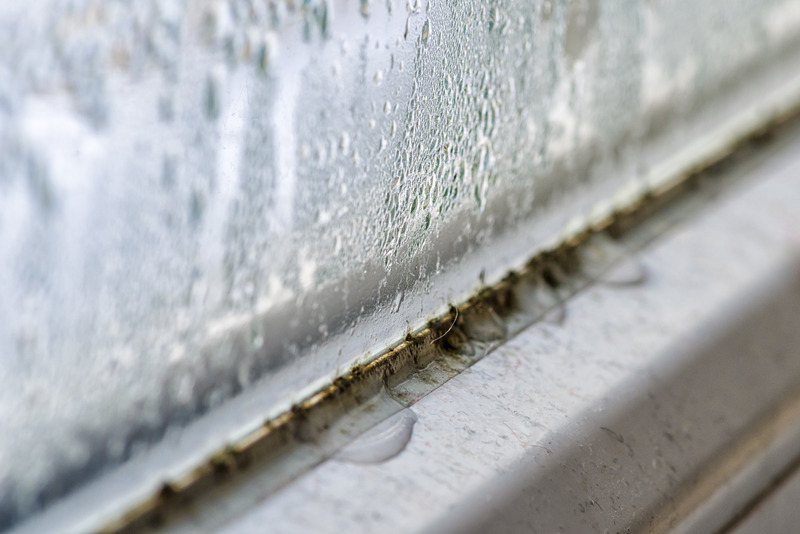Mold grows in the condensation along a windowsill.