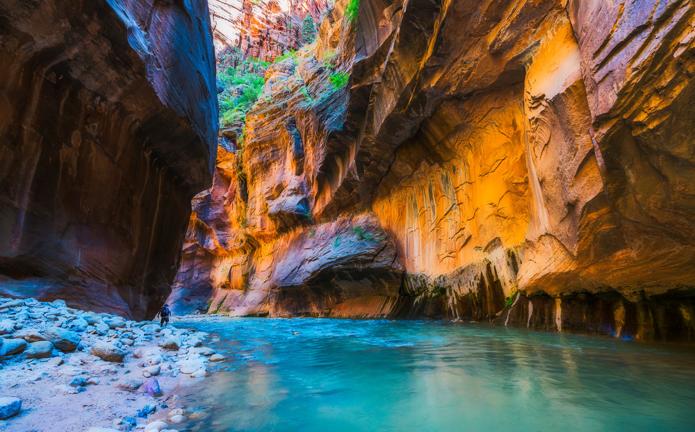 Zion National park Virgin River Narrows in Zion National park in Utah