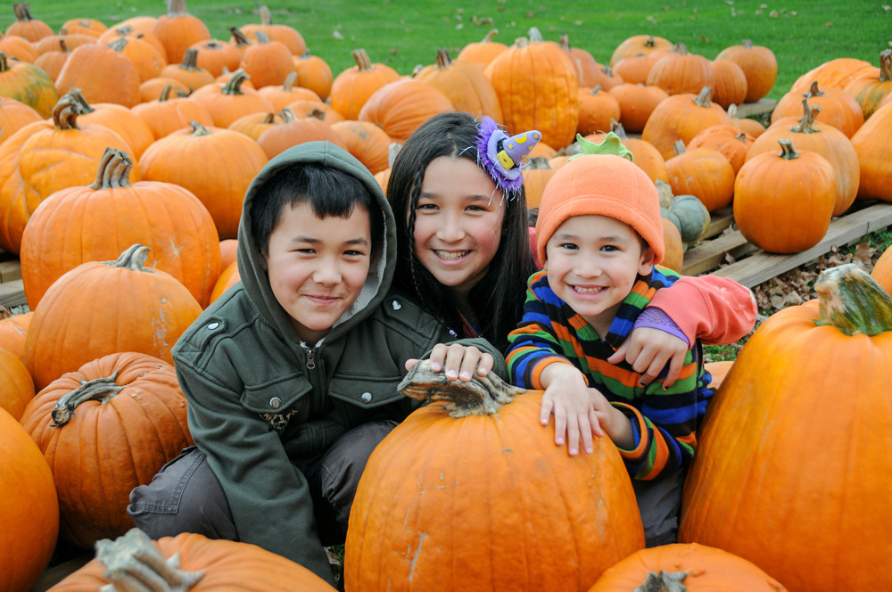 young siblings in pumpkin patch smiling