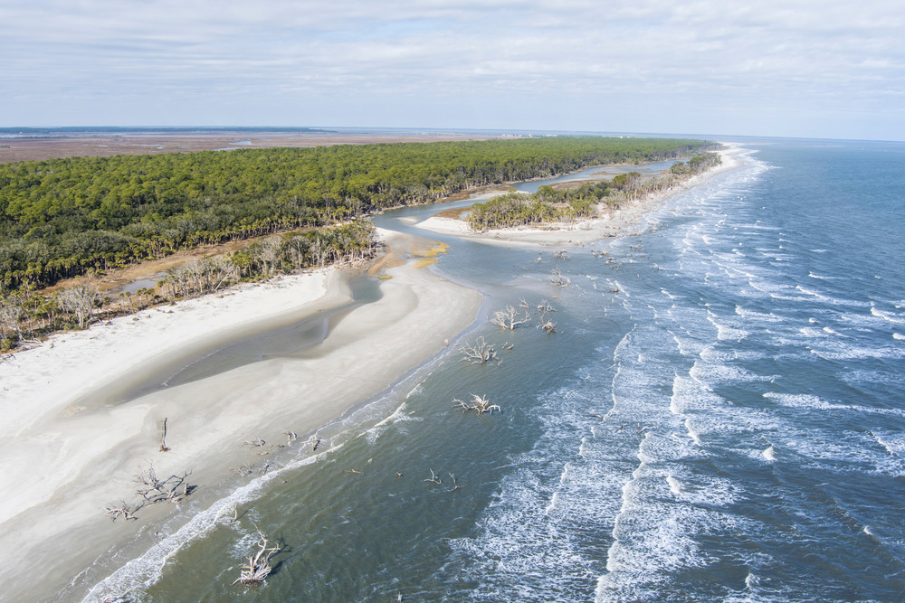 Hunting Island State Park with drift wood along the shoreline