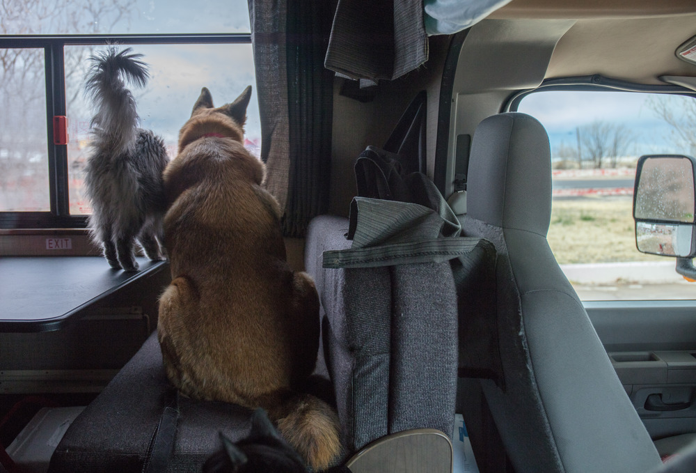 A cat and dog looking outside a RV window