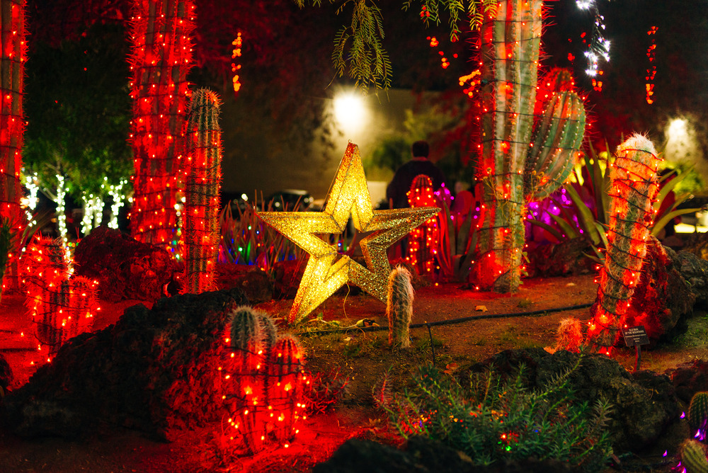 Cactus Christmas lights in Vegas