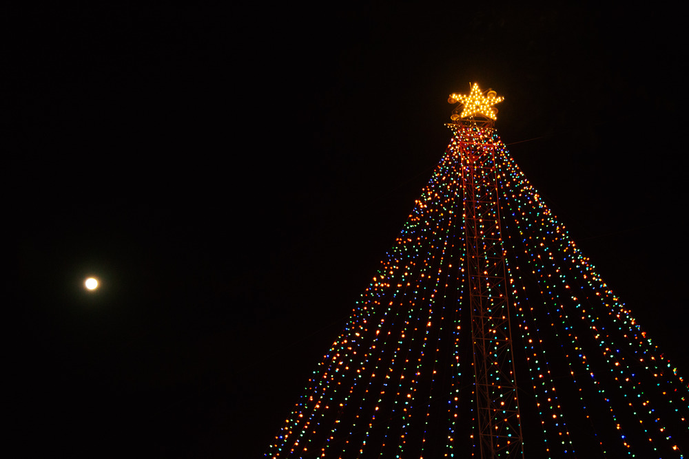Christmas tree lights at Austin Trail of Lights