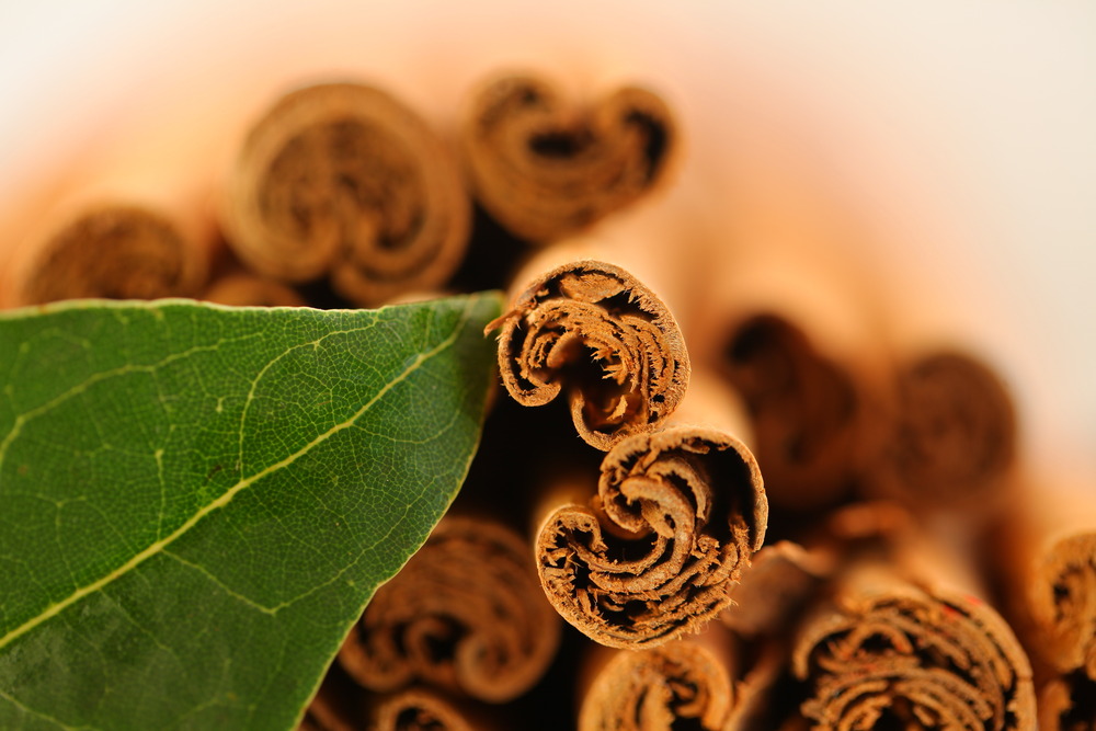 closeup of cinnamon sticks