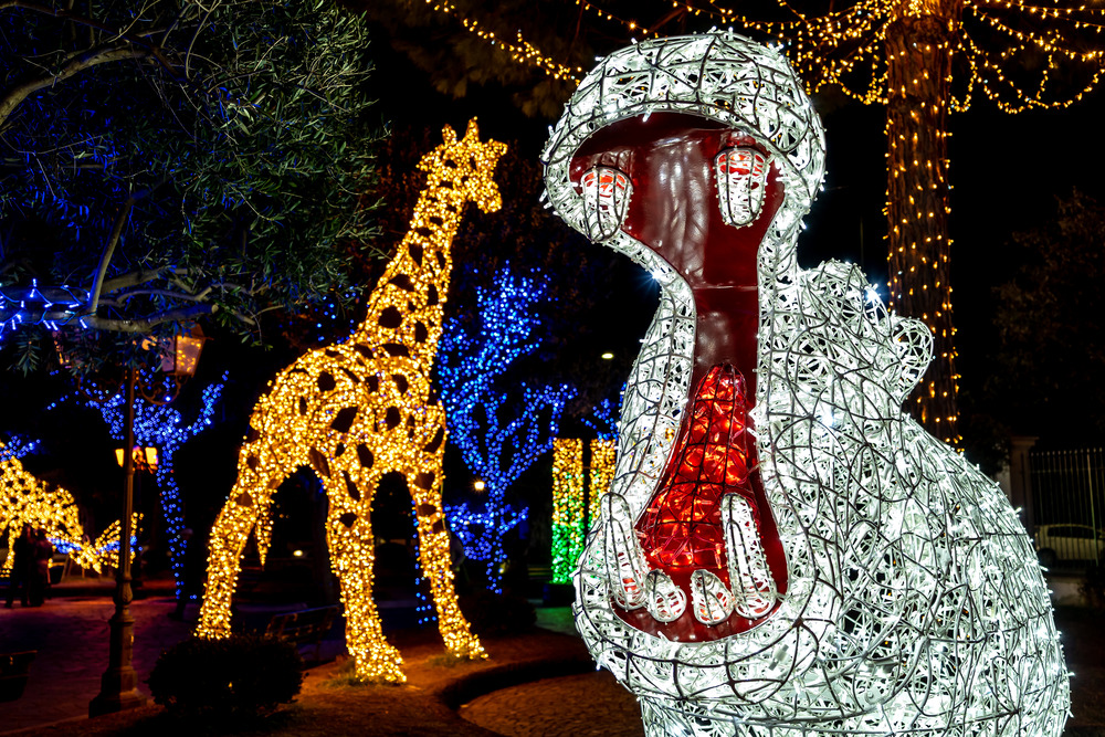 Zoo Christmas lights at night