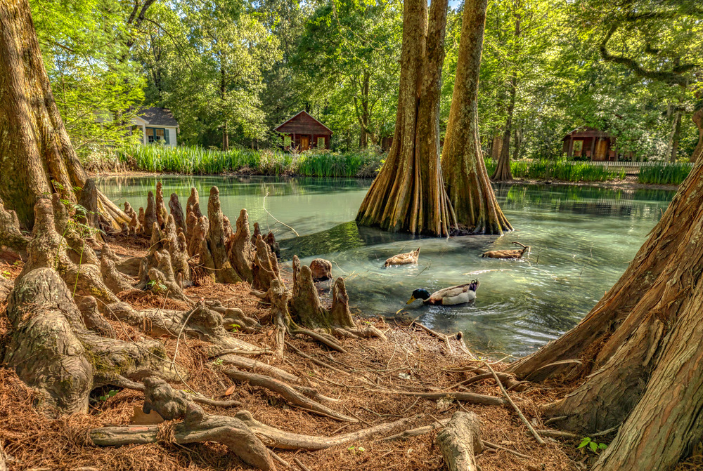 Rosedown Plantation in St Francisville Louisiana