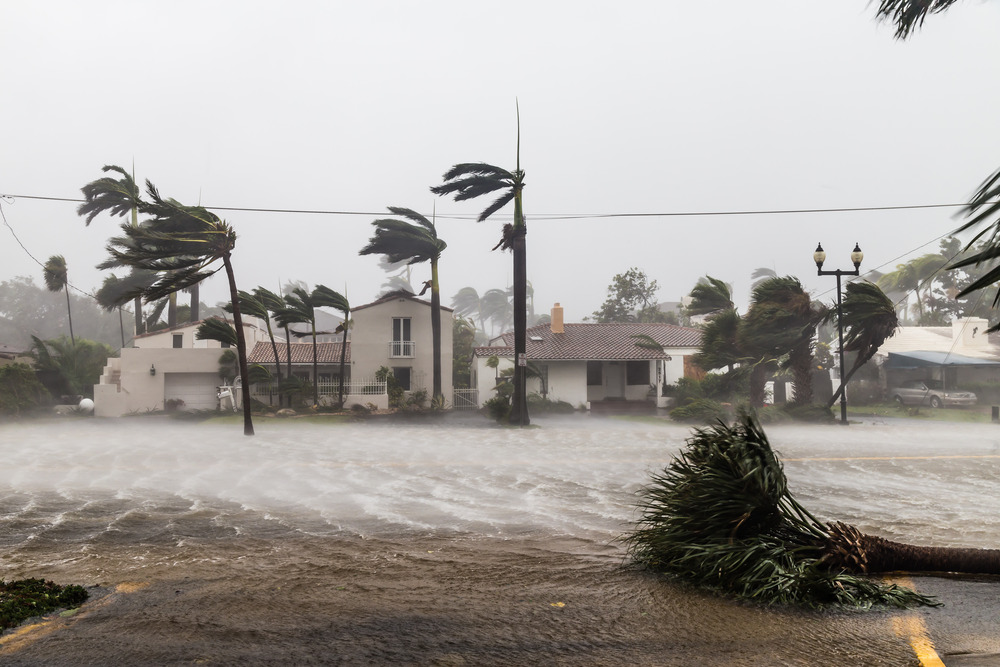 tree's blowing in the wind and street flooding due to a hurricane