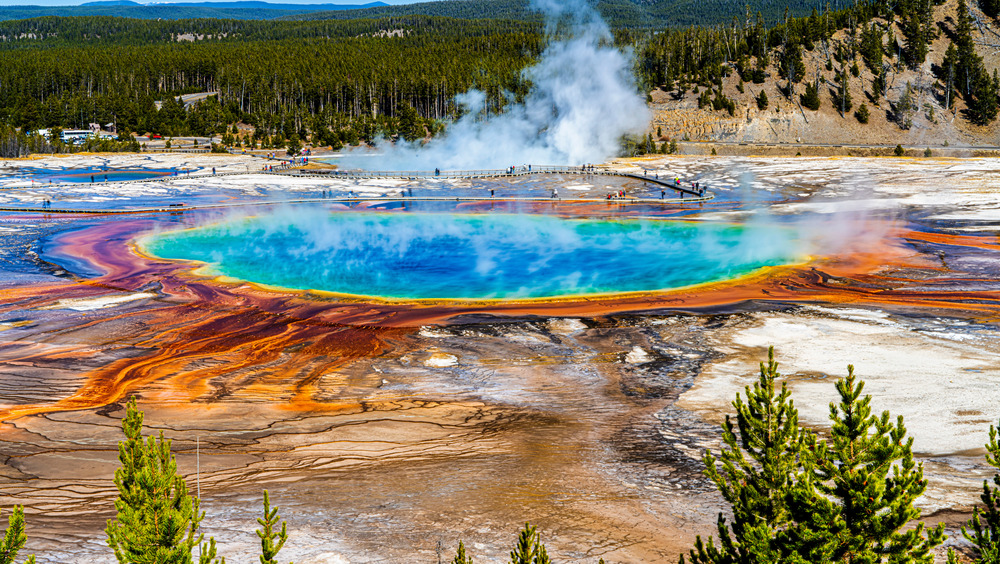 Grand Prismatic Spring in Yellowstone National Park