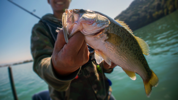 Man holding bass. 