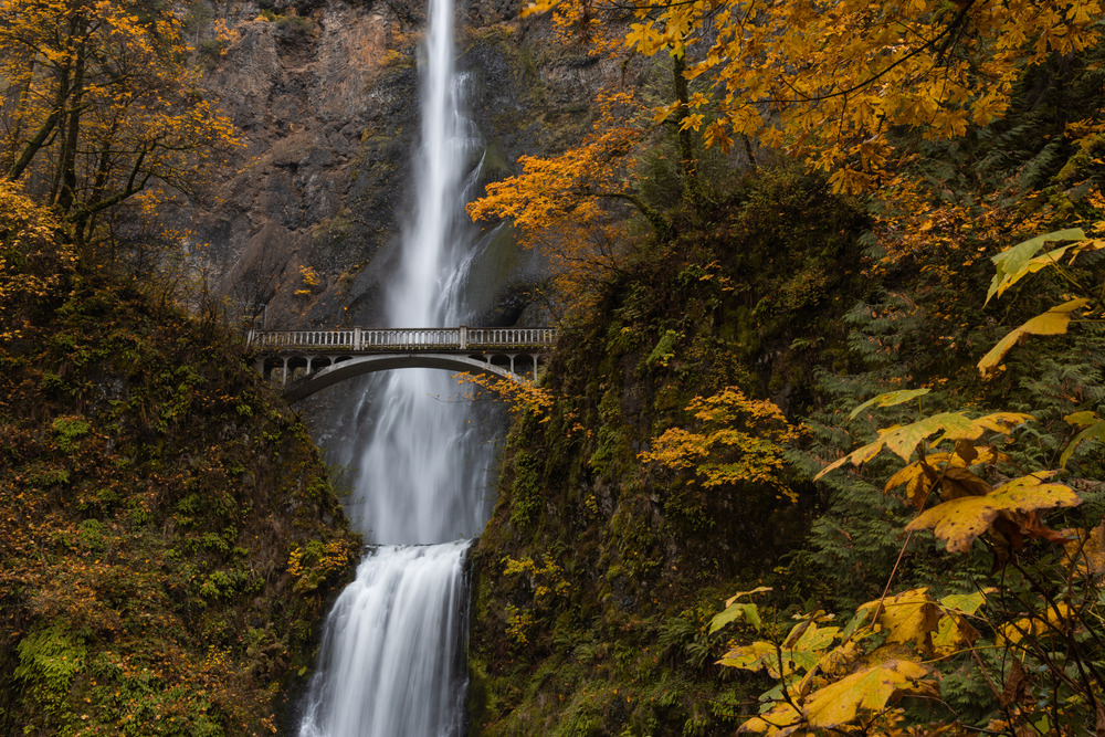 Multnomah Falls at Columbia River Gorge in the fall