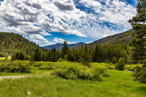 View of the Sawtooth National Forest