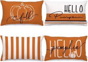 Fall Decor Pillow Covers