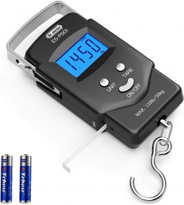 Dr. Meter Fish Scale