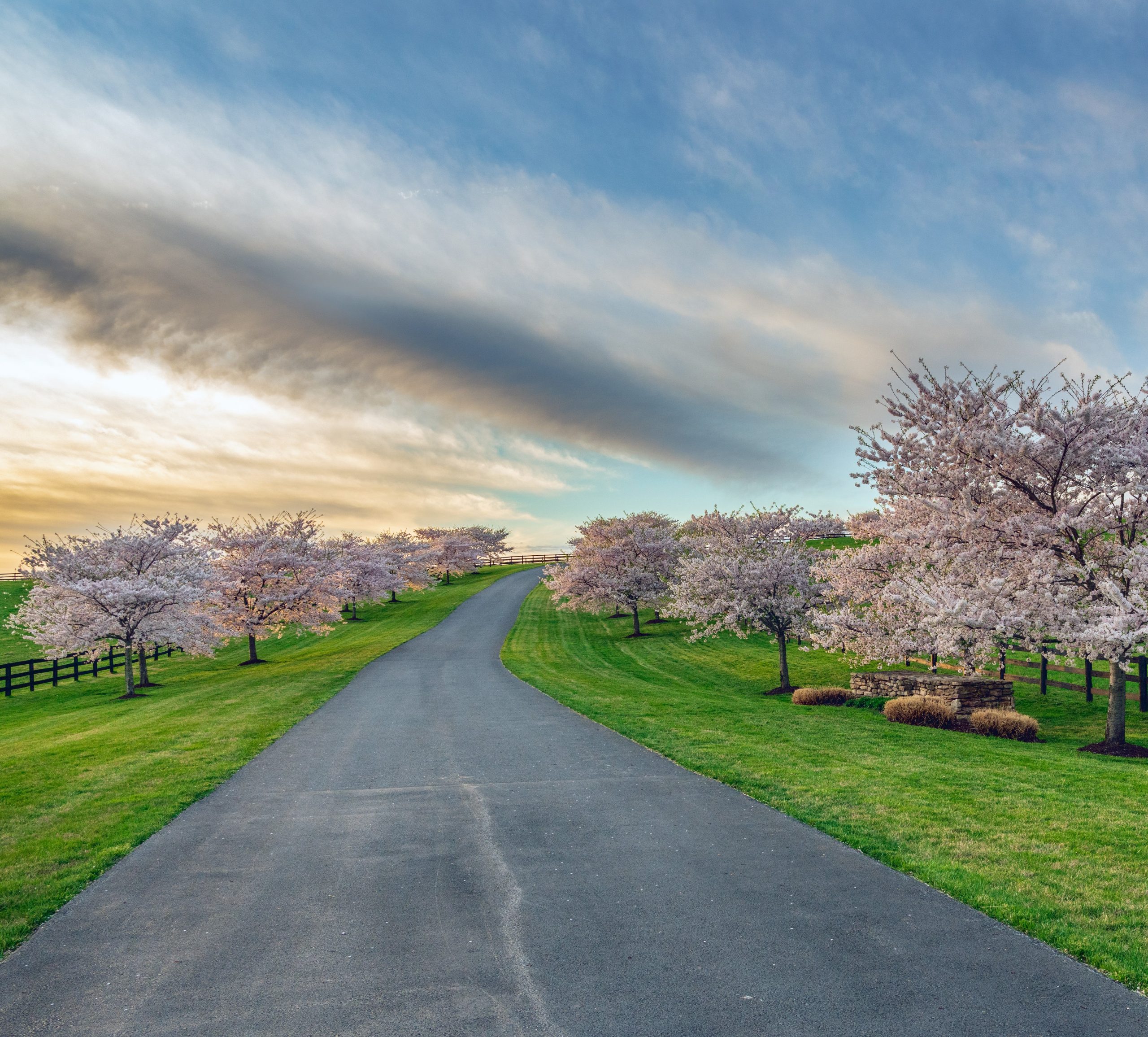 Cherry Tree Lined Drive Best RV Campground int he U.S.A