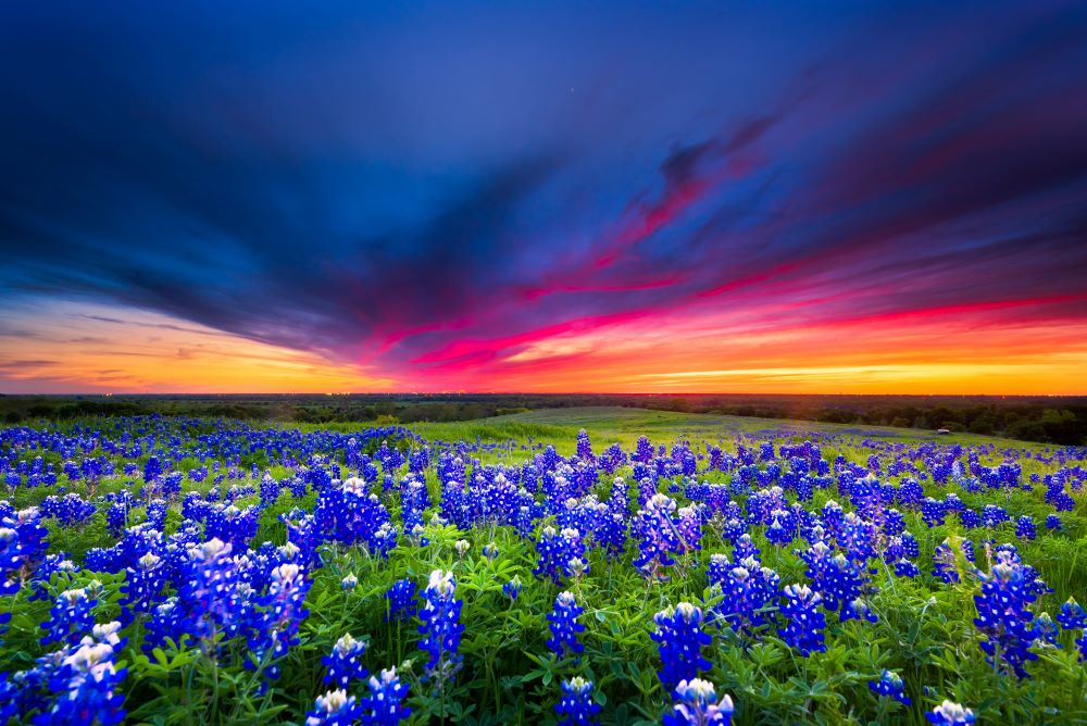 Hill Country RV Best Campground in the U.S. Hill Country